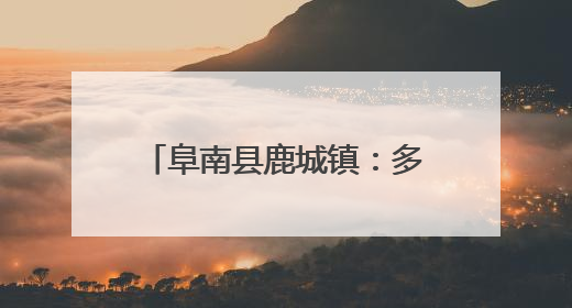 阜南县鹿城镇：多点发力 筑牢秸秆禁烧“防火墙”