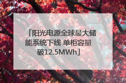 阳光电源全球最大储能系统下线 单柜容量破12.5MWh