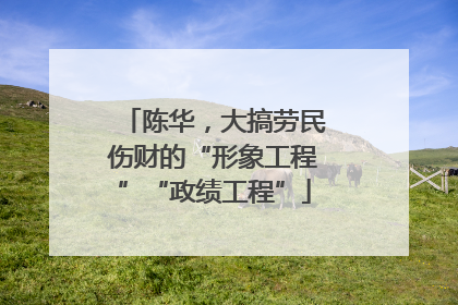 陈华，大搞劳民伤财的“形象工程”“政绩工程”