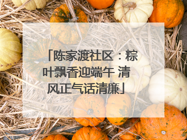 陈家渡社区：粽叶飘香迎端午 清风正气话清廉