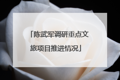 陈武军调研重点文旅项目推进情况