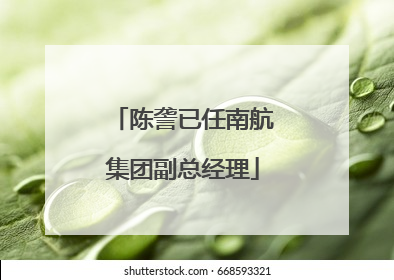 陈詟已任南航集团副总经理