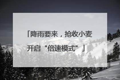 降雨要来，抢收小麦开启“倍速模式”
