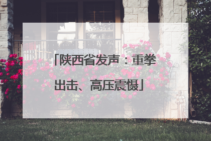 陕西省发声：重拳出击、高压震慑