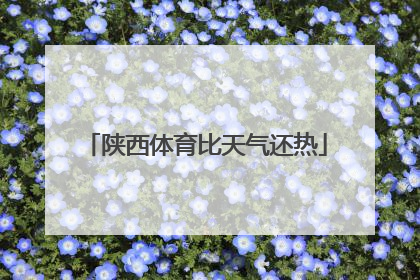 陕西体育比天气还热