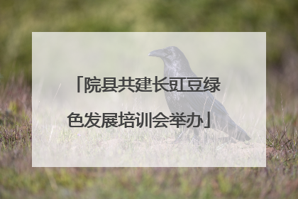 院县共建长豇豆绿色发展培训会举办