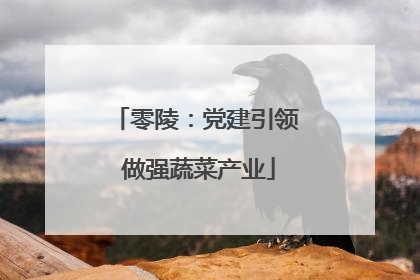 零陵：党建引领 做强蔬菜产业