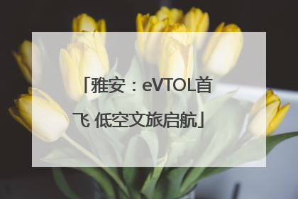 雅安：eVTOL首飞 低空文旅启航