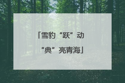 雪豹“跃”动 “典”亮青海