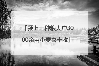 颍上一种粮大户3000余亩小麦喜丰收
