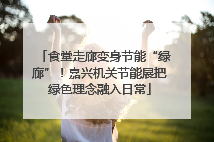 食堂走廊变身节能“绿廊”！嘉兴机关节能展把绿色理念融入日常