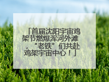 首届沈阳宇宙鸡架节燃爆浑河外滩，“老铁”们共赴鸡架宇宙中心！