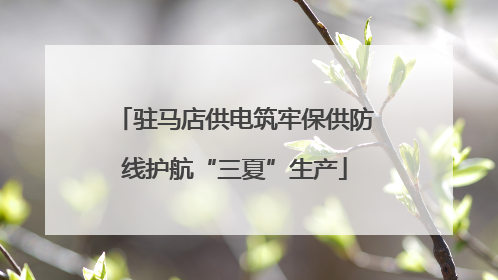 驻马店供电筑牢保供防线护航“三夏”生产