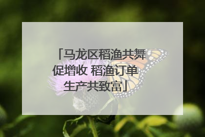马龙区稻渔共舞促增收 稻渔订单生产共致富