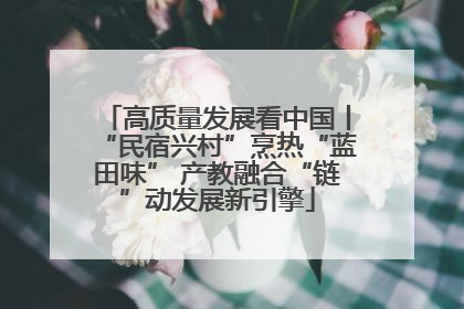 高质量发展看中国丨“民宿兴村”烹热“蓝田味” 产教融合“链”动发展新引擎