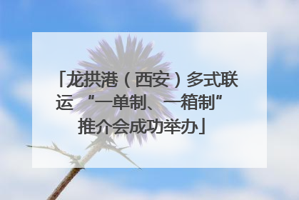 龙拱港（西安）多式联运 “一单制、一箱制” 推介会成功举办