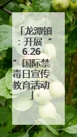龙潭镇：开展“6.26”国际禁毒日宣传教育活动