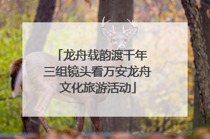 龙舟载韵渡千年 三组镜头看万安龙舟文化旅游活动