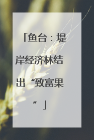 鱼台：堤岸经济林结出“致富果”