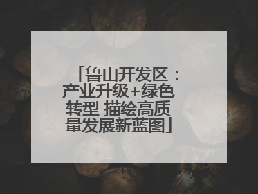 鲁山开发区：产业升级+绿色转型 描绘高质量发展新蓝图