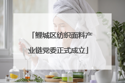 鲤城区纺织面料产业链党委正式成立