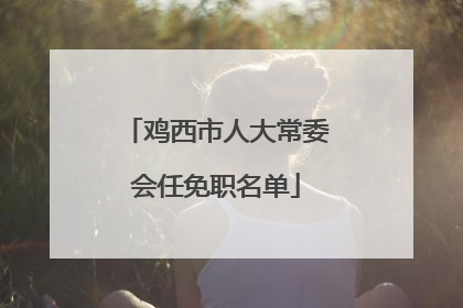 鸡西市人大常委会任免职名单