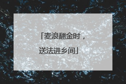 麦浪翻金时，送法进乡间