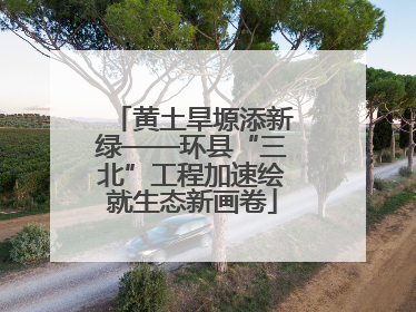 黄土旱塬添新绿——环县“三北”工程加速绘就生态新画卷