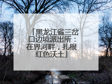 黑龙江省三岔口边境派出所：在界河畔，扎根红色沃土