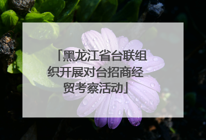 黑龙江省台联组织开展对台招商经贸考察活动