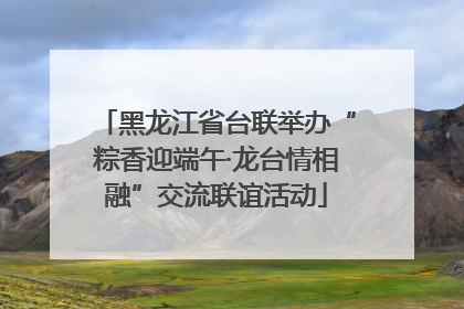 黑龙江省台联举办“粽香迎端午·龙台情相融”交流联谊活动