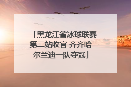 黑龙江省冰球联赛第二站收官 齐齐哈尔兰迪一队夺冠
