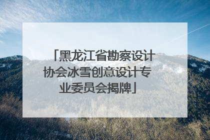 黑龙江省勘察设计协会冰雪创意设计专业委员会揭牌