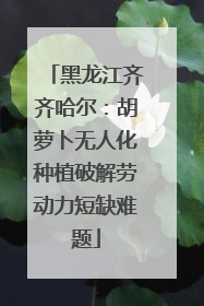 黑龙江齐齐哈尔：胡萝卜无人化种植破解劳动力短缺难题