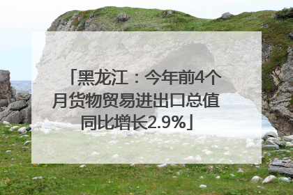 黑龙江：今年前4个月货物贸易进出口总值同比增长2.9%