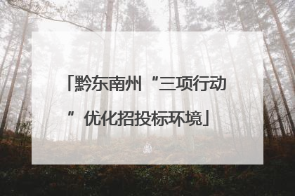 黔东南州“三项行动”优化招投标环境