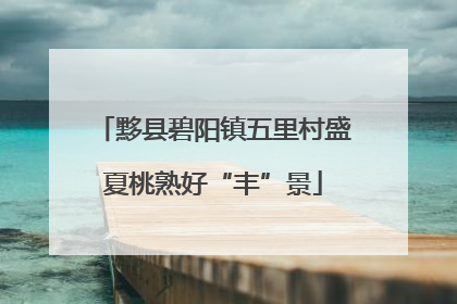 黟县碧阳镇五里村盛夏桃熟好“丰”景