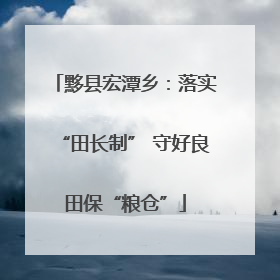 黟县宏潭乡：落实“田长制” 守好良田保“粮仓”