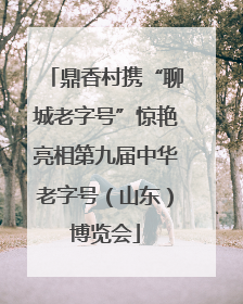 鼎香村携“聊城老字号”惊艳亮相第九届中华老字号（山东）博览会