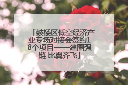 鼓楼区低空经济产业专场对接会签约18个项目——建圈强链 比翼齐飞