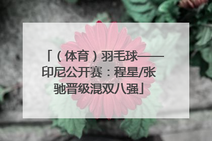 （体育）羽毛球——印尼公开赛：程星/张驰晋级混双八强