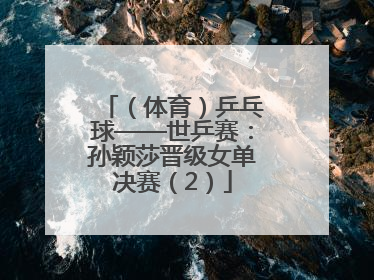 （体育）乒乓球——世乒赛：孙颖莎晋级女单决赛（2）