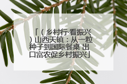 （乡村行·看振兴）山西天镇：从一粒种子到国际餐桌 出口富农促乡村振兴