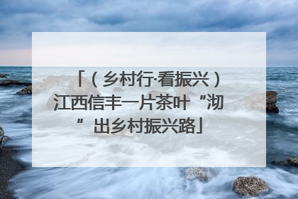 （乡村行·看振兴）江西信丰一片茶叶“沏”出乡村振兴路