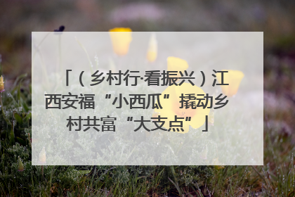 （乡村行·看振兴）江西安福“小西瓜”撬动乡村共富“大支点”