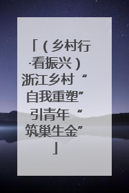 （乡村行·看振兴）浙江乡村“自我重塑” 引青年“筑巢生金”