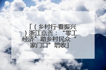 （乡村行·看振兴）浙江嘉善：“零工经济”助乡村民众“家门口”增收