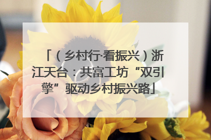 （乡村行·看振兴）浙江天台：共富工坊“双引擎”驱动乡村振兴路