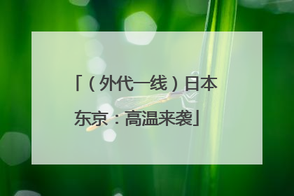（外代一线）日本东京：高温来袭