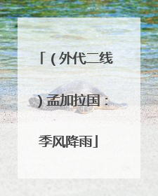（外代二线）孟加拉国：季风降雨